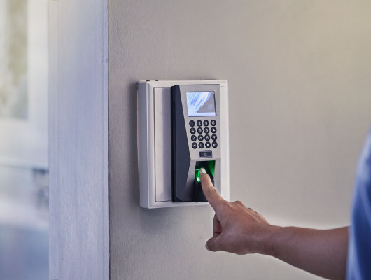 biometric access system