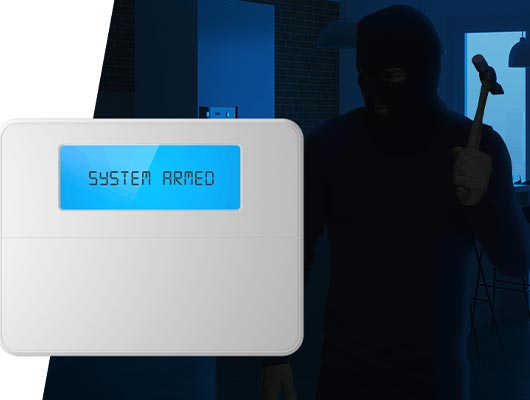 anti theft security system