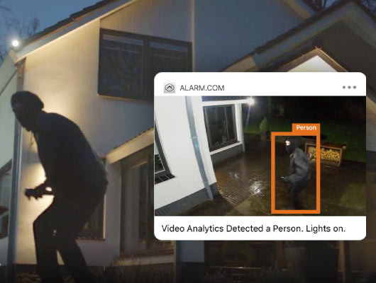thief detected on burglary detection system
