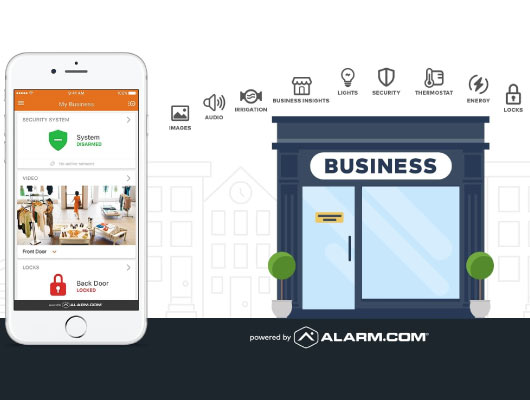 Smartphone with security system interface and storefront