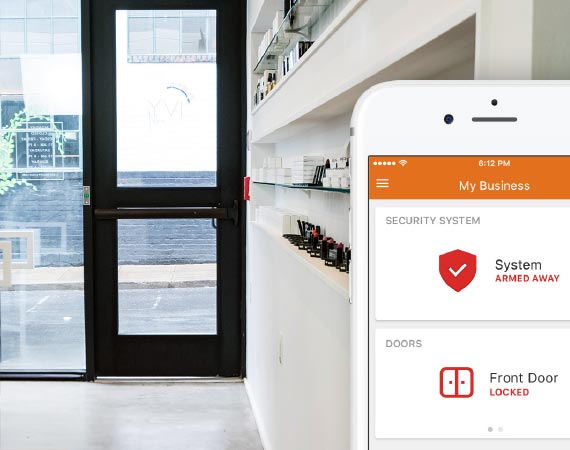 Security camera and access control for business