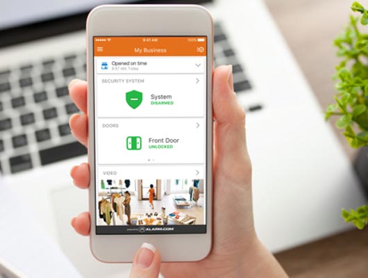 Person monitoring business on smartphone
