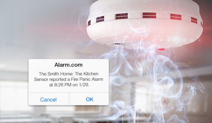 Smoke detector with mobile fire alarm alert