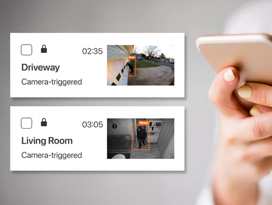 Security app detecting human presence in driveway and living room