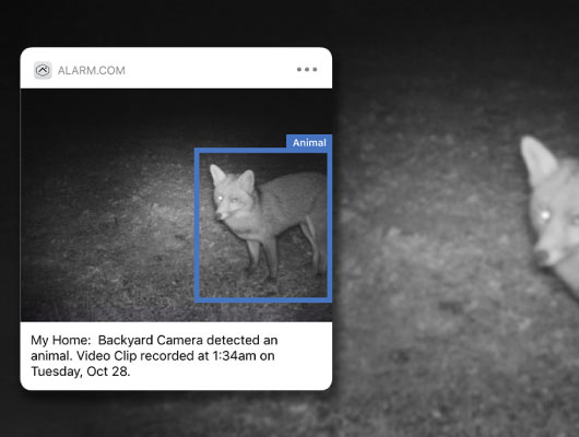 notification of IR night vision security camera detection