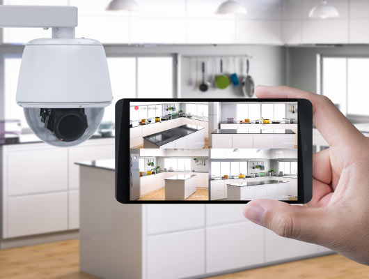 PTZ Cameras