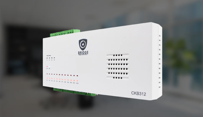 CHeKT 12-channel bridge camera