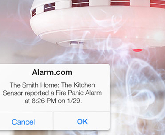 Smart smoke detector alarm